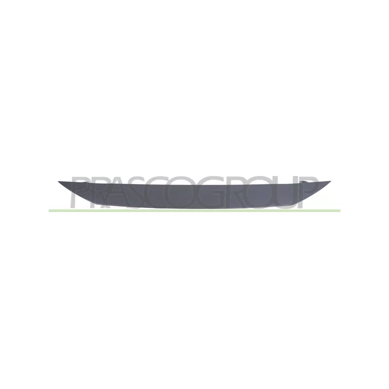 Baguette et bande protectrice, pare-chocs PRASCO PG3302206