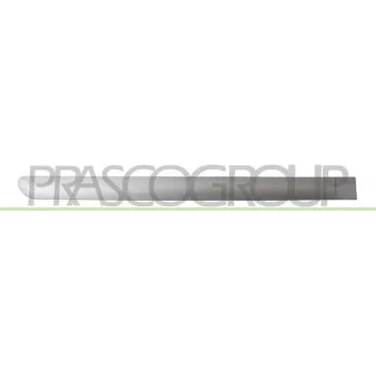 Baguette et bande protectrice, porte arrière droit PRASCO PG4221463