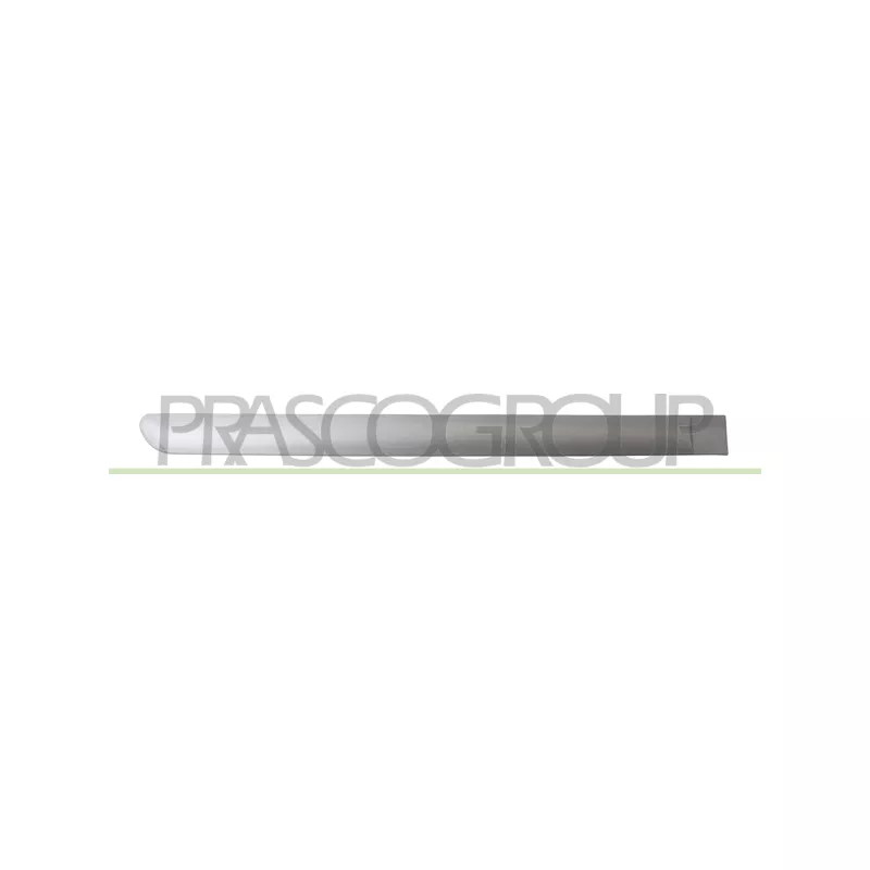 Baguette et bande protectrice, porte arrière droit PRASCO PG4221463