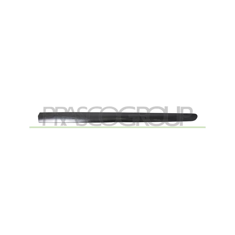 Baguette et bande protectrice, porte avant droit PRASCO PG4241413