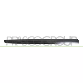 Baguette et bande protectrice, porte avant gauche PRASCO PG4241414