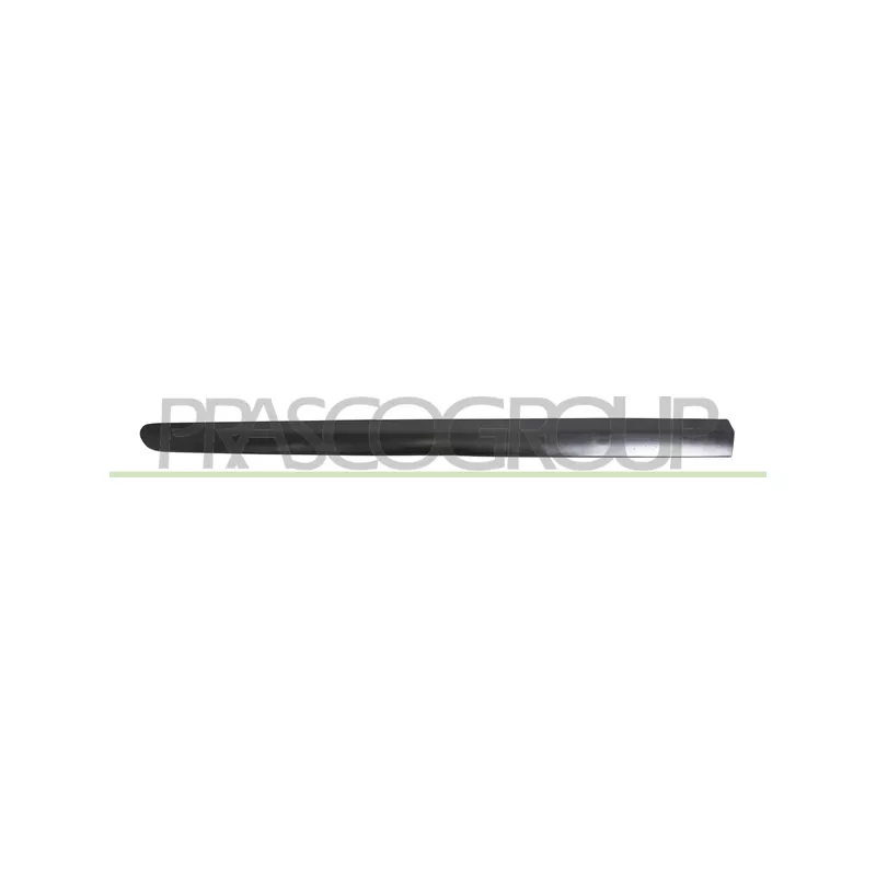 Baguette et bande protectrice, porte avant gauche PRASCO PG4241414