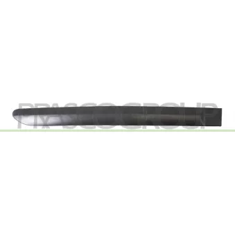 Baguette et bande protectrice, porte arrière droit PRASCO PG4241453