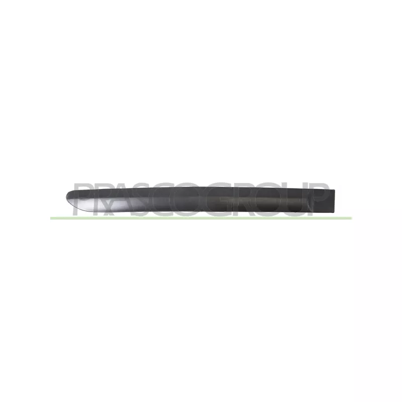 Baguette et bande protectrice, porte arrière droit PRASCO PG4241453