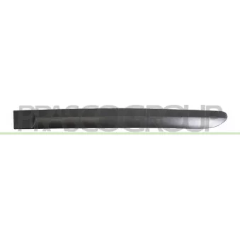 Baguette et bande protectrice, porte arrière gauche PRASCO PG4241454
