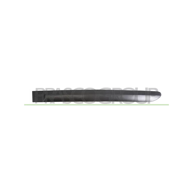 Baguette et bande protectrice, porte arrière gauche PRASCO PG4241454