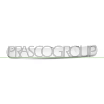 Baguette et bande protectrice, pare-chocs PRASCO PG5001265
