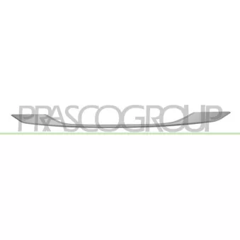 Baguette et bande protectrice, pare-chocs PRASCO PG5041245