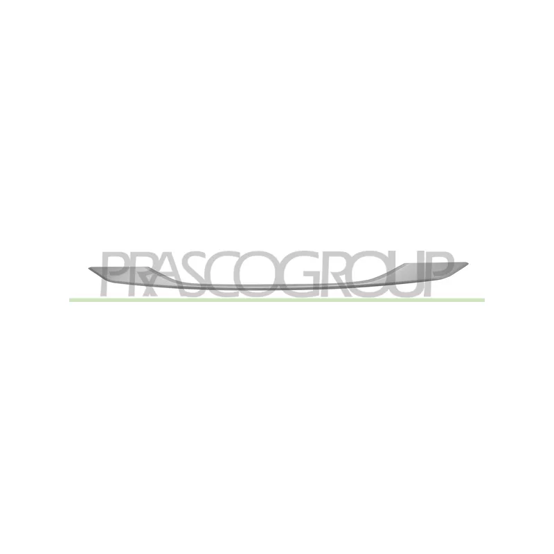 Baguette et bande protectrice, pare-chocs PRASCO PG5041245