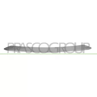 Baguette et bande protectrice, pare-chocs PRASCO PG5041255