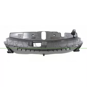 Cache moteur PRASCO PG5042102