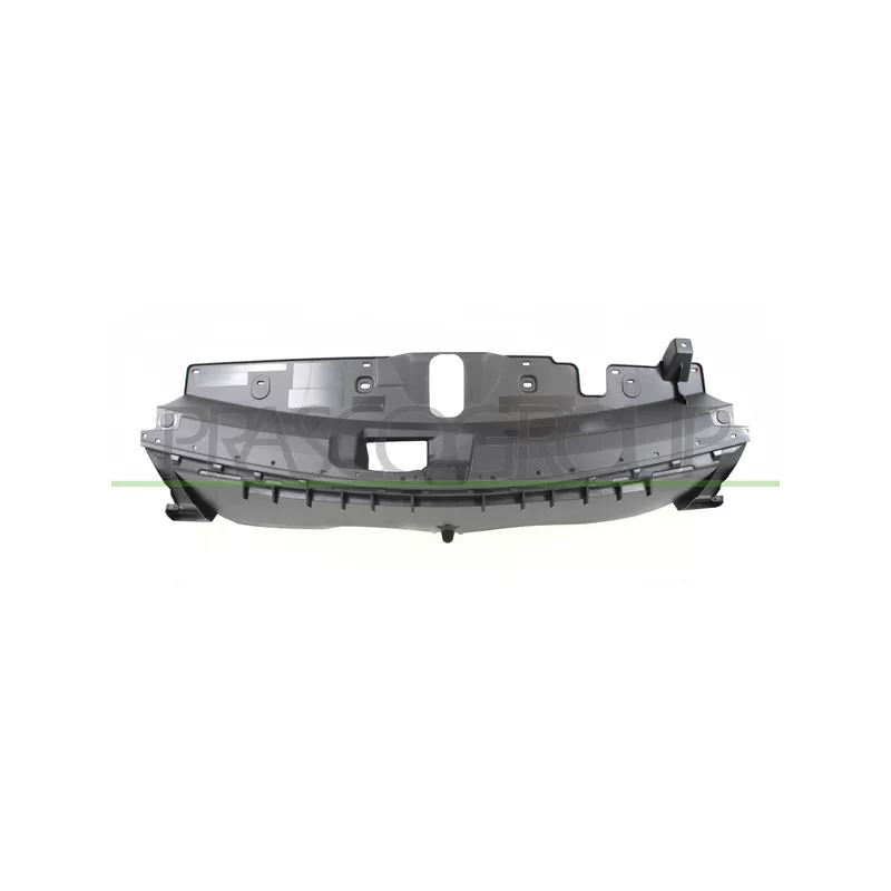 Cache moteur PRASCO PG5042102