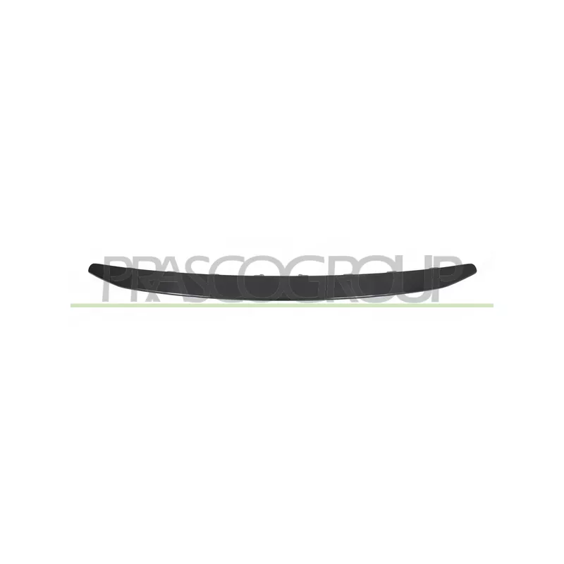 Baguette et bande protectrice, grille de radiateur PRASCO PG5042206