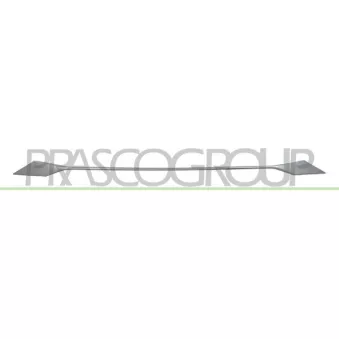 Baguette et bande protectrice, pare-chocs PRASCO PG5252206