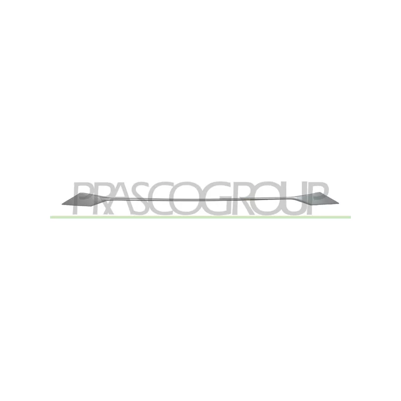 Baguette et bande protectrice, pare-chocs PRASCO PG5252206