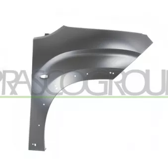 Aile avant droit PRASCO PG8003013