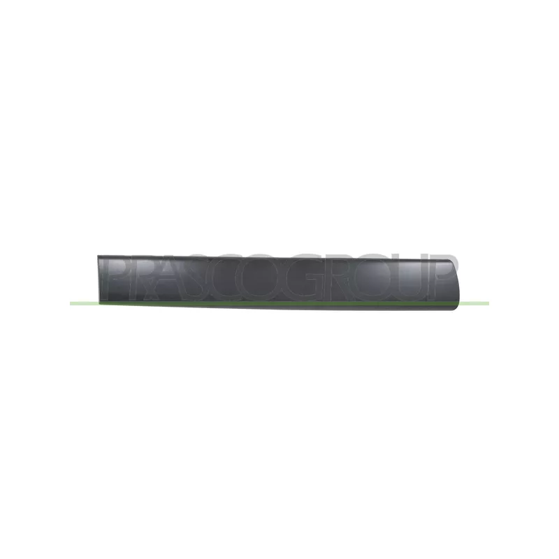 Baguette et bande protectrice, porte arrière droit PRASCO PG9041453