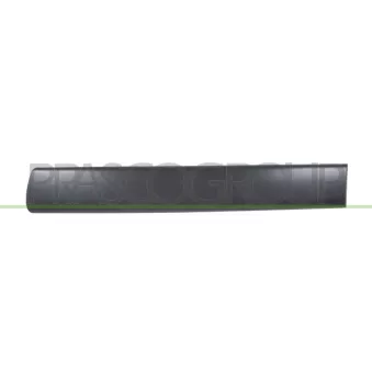 Baguette et bande protectrice, porte arrière gauche PRASCO PG9041454