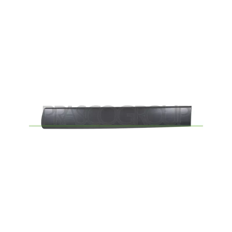 Baguette et bande protectrice, porte arrière gauche PRASCO PG9041454