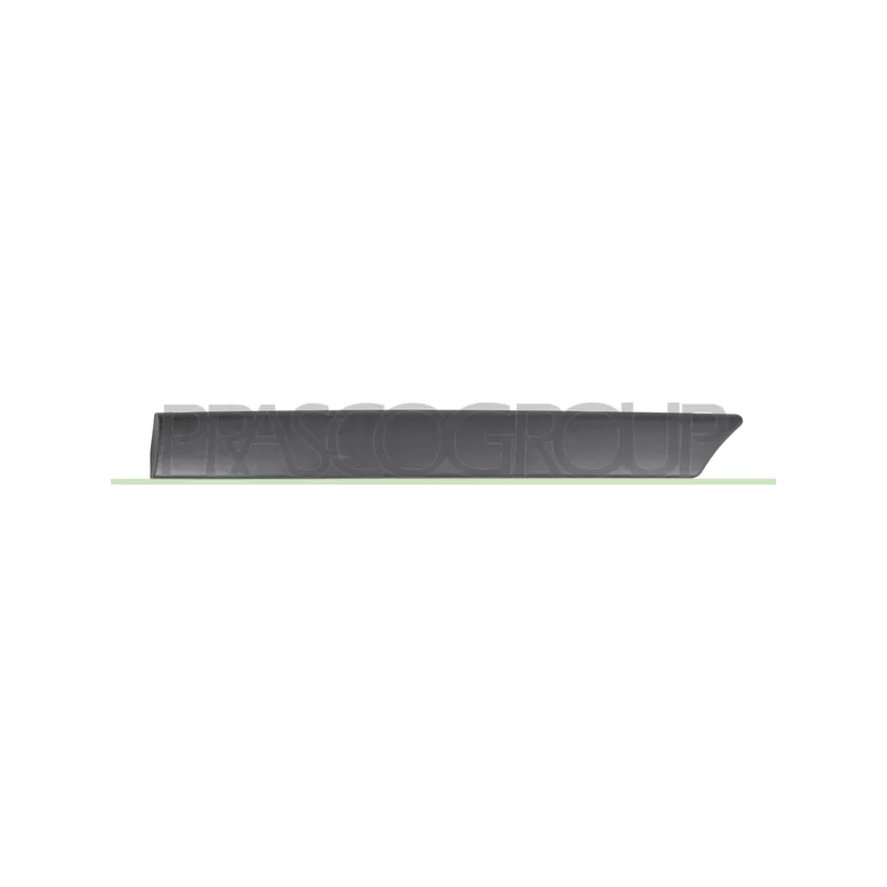 Baguette et bande protectrice, porte arrière gauche PRASCO PG9041464
