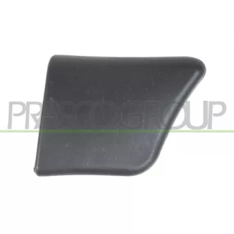 Baguette et bande protectrice, porte avant droit PRASCO PG9061401