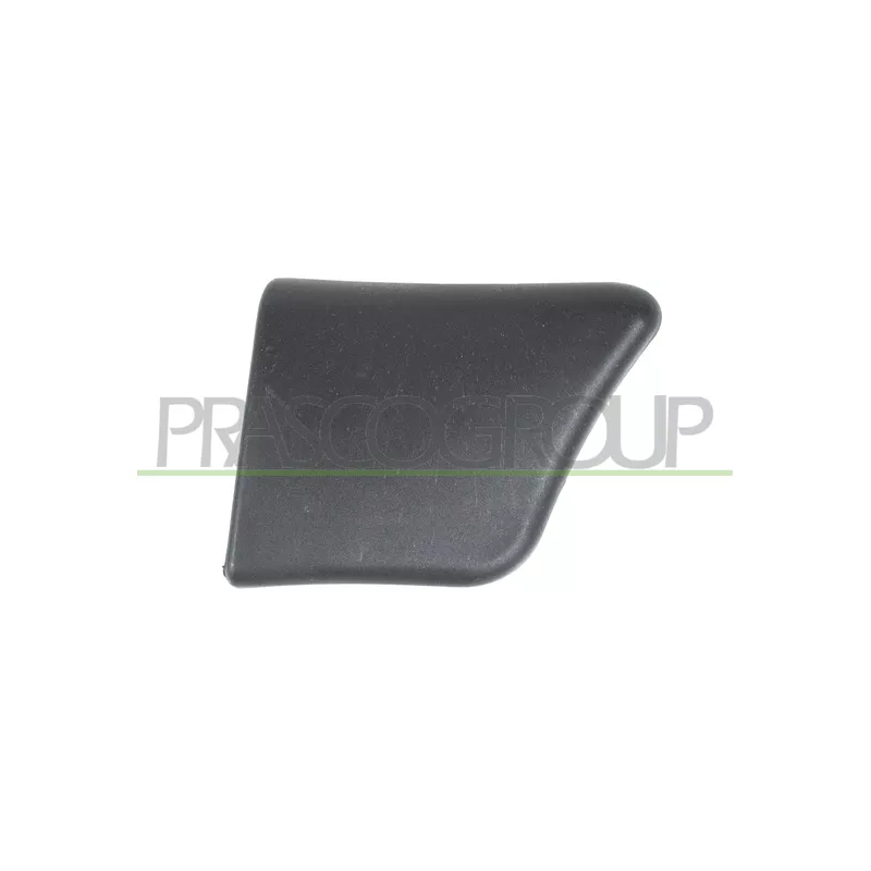 Baguette et bande protectrice, porte avant droit PRASCO PG9061401