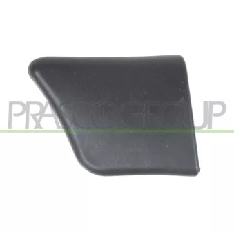 Baguette et bande protectrice, porte avant gauche PRASCO PG9061402