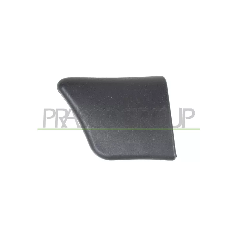 Baguette et bande protectrice, porte avant gauche PRASCO PG9061402