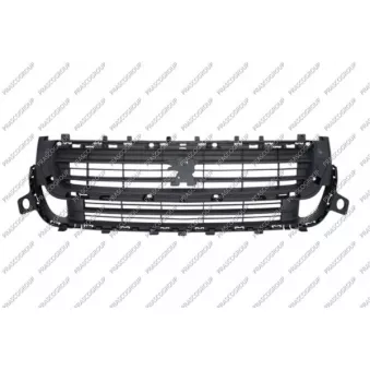 Grille de radiateur PRASCO