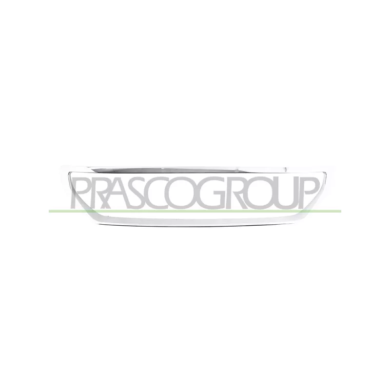 Cadre, grille de radiateur PRASCO PG9242305