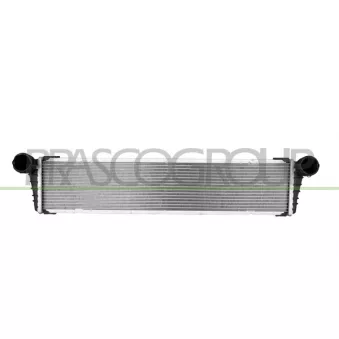 Radiateur, refroidissement du moteur PRASCO PR656R001