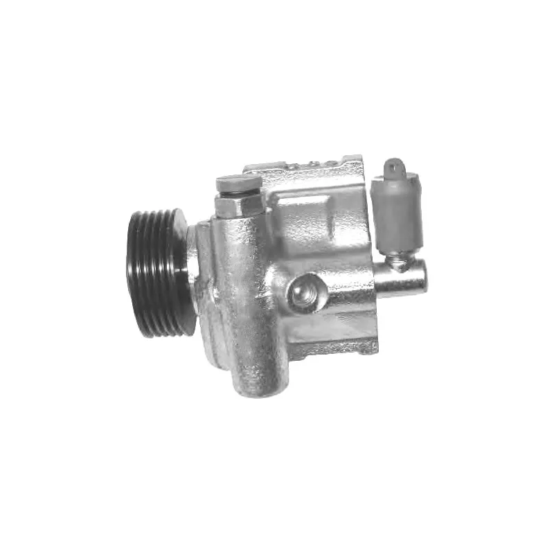 Pompe hydraulique, direction GENERAL RICAMBI PI0133