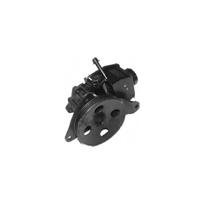 Pompe hydraulique, direction GENERAL RICAMBI PI0144