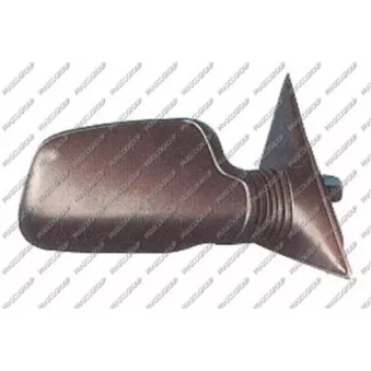 Rétroviseur extérieur PRASCO RG0417313