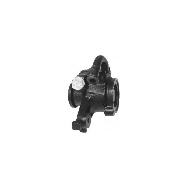 Pompe hydraulique, direction GENERAL RICAMBI PI0191