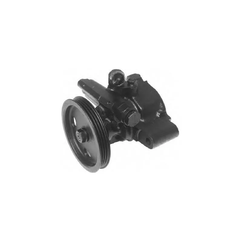 Pompe hydraulique, direction GENERAL RICAMBI PI0193