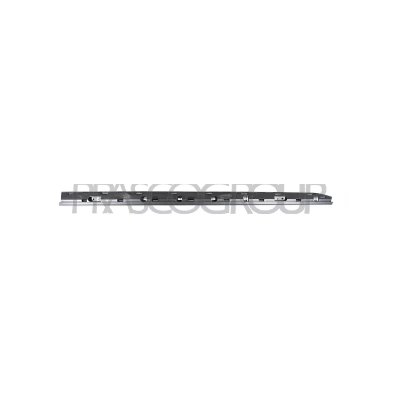 Baguette et bande protectrice, porte avant droit PRASCO RN3321403
