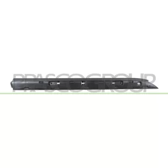 Baguette et bande protectrice, porte arrière droit PRASCO RN3321453