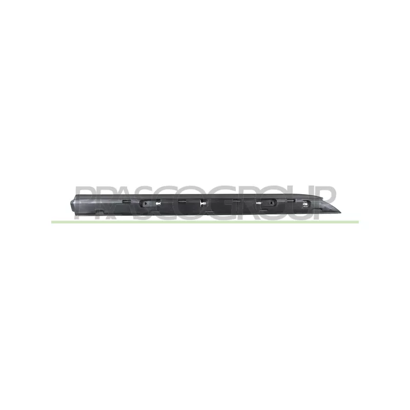 Baguette et bande protectrice, porte arrière droit PRASCO RN3321453