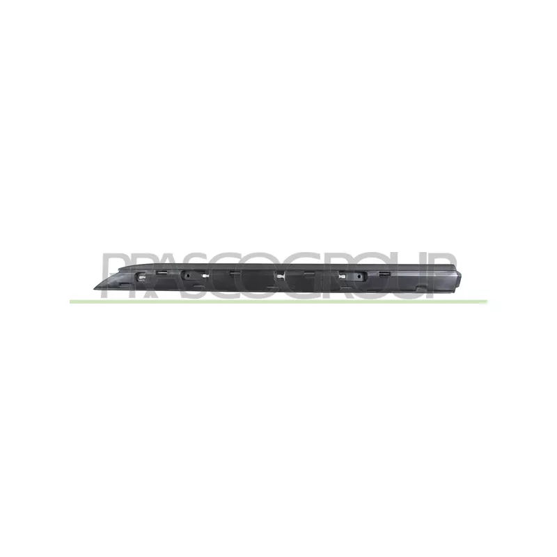 Baguette et bande protectrice, porte arrière gauche PRASCO RN3321454