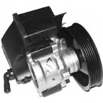 Pompe hydraulique, direction GENERAL RICAMBI PI0196