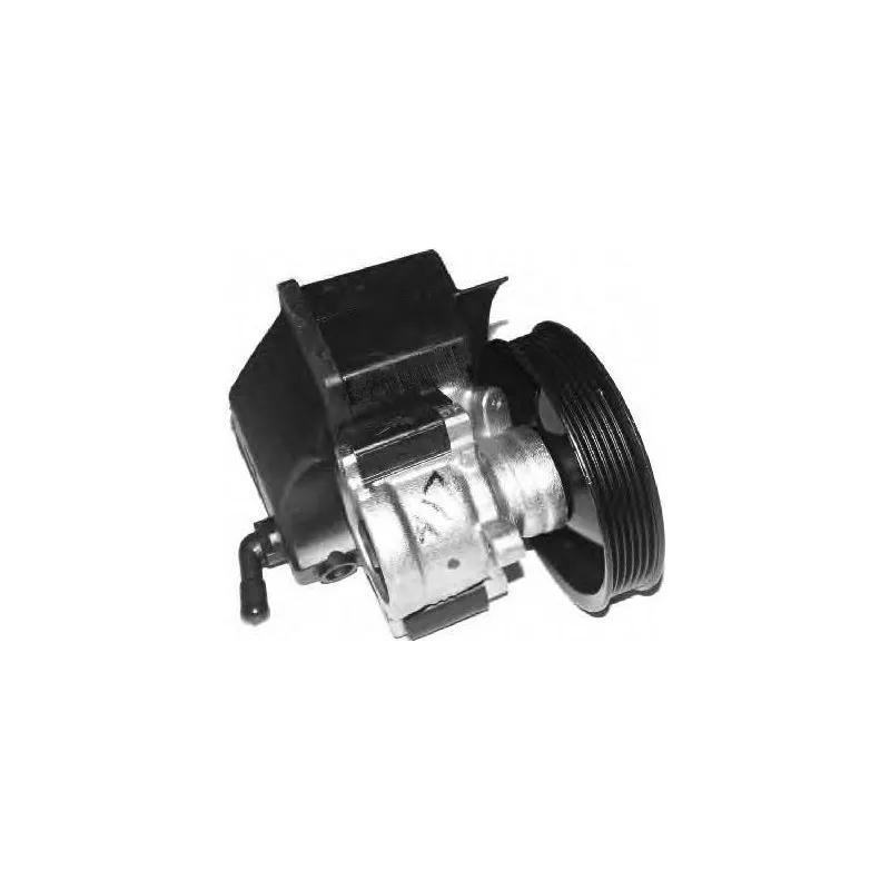 Pompe hydraulique, direction GENERAL RICAMBI PI0196