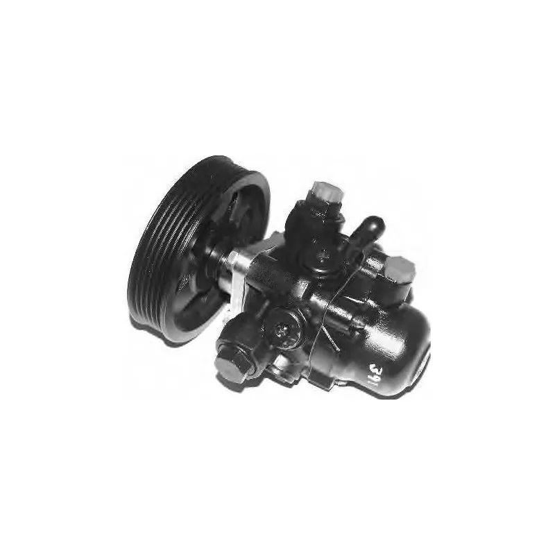 Pompe hydraulique, direction GENERAL RICAMBI PI0197