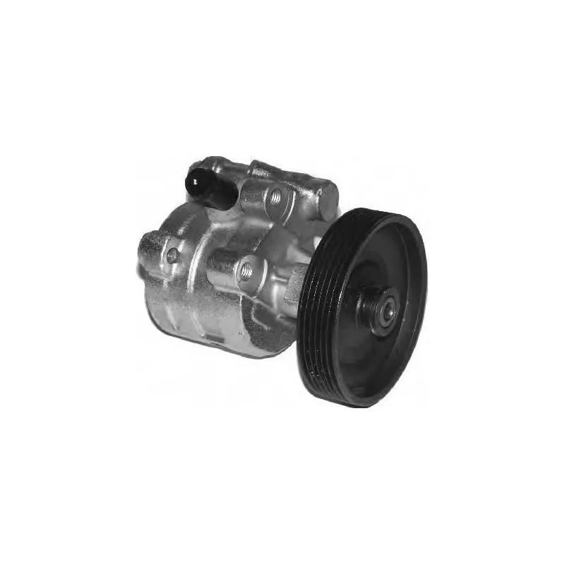 Pompe hydraulique, direction GENERAL RICAMBI PI0198