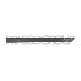 Baguette et bande protectrice, porte avant droit PRASCO RN4221413