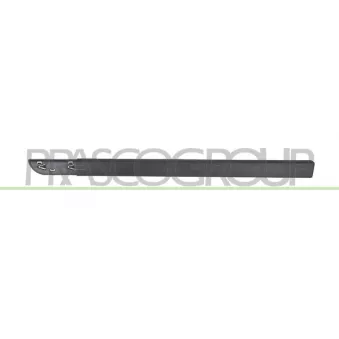 Baguette et bande protectrice, porte avant gauche PRASCO RN4221414
