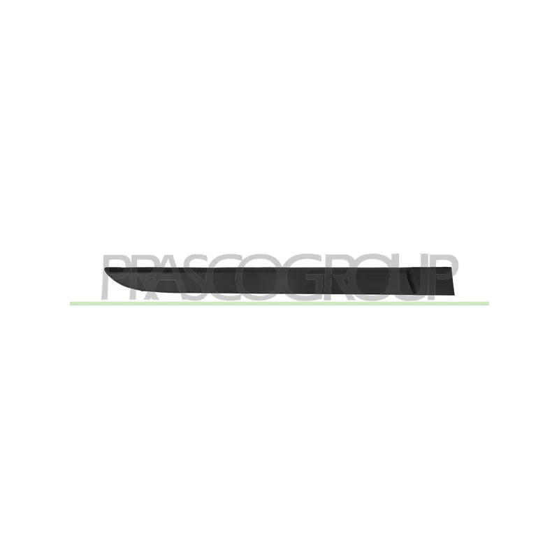 Baguette et bande protectrice, porte arrière droit PRASCO RN4221453
