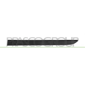 Baguette et bande protectrice, porte arrière gauche PRASCO RN4221454