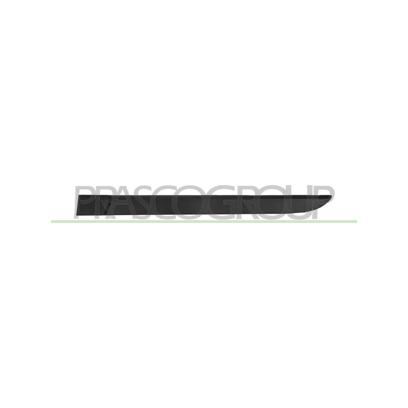 Baguette et bande protectrice, porte arrière gauche PRASCO RN4221454