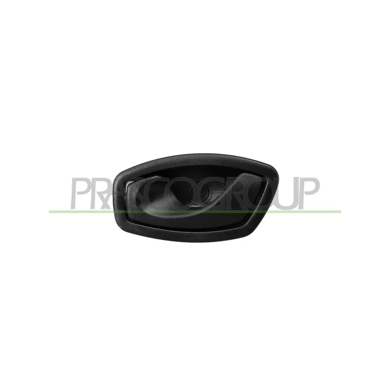 Poignet de porte, équipment intérieur avant gauche PRASCO RN4248402